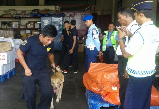 Sweeping Narkoba di Bandara Kerahkan Anjing Pelacak