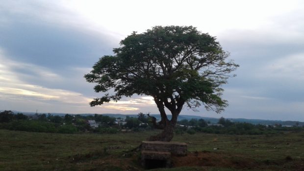 Salam Damai dari Atas Bukit Cinta di Timur Indonesia
