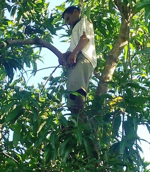 Napi Lapas Sikka Tewas Gantung Diri