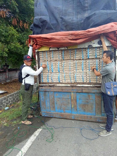 Ribuan Telur Ilegal Diamankan Gilimanuk