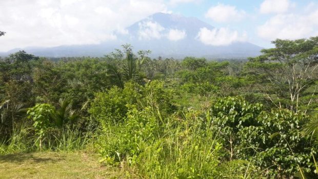 Antipasi Gunung Agung, BNPB Siapkan Renkon Bersama BPBD Bali dan Karangasem