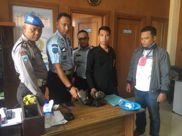 Lapas Kerobokan Dikejutkan Penemuan Ratusan Daun Ganja Kering