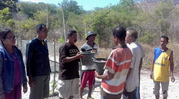 Induk Penyu di Lepaskan,Kelompok Nelayan Watan Ago Serahkan Telur Penyu ke Pokmaswas Ritaebang