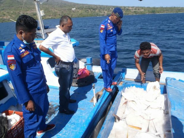 Di Perairan Nusadani-Solor, Tim Patroli Laut Hadang KMN Tak Berdokumen