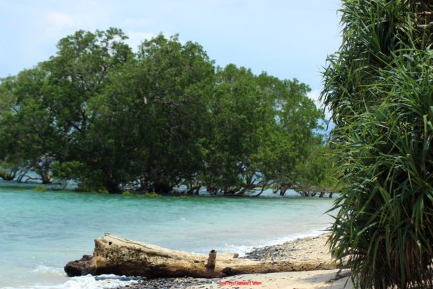Kaum Muda Solor Barat Bersatu Mengakrabi Budaya, Memoles Pariwisata Pantai Riangsunge
