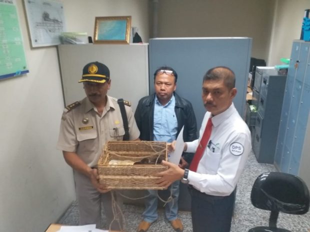 Petugas Gabungan Gagalkan Penyelundupan Kalajengking