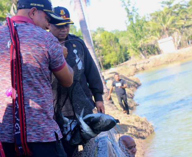 “Mutiara” Tersembul di Tambak Bandeng Sina Malaka