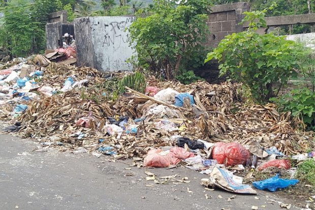 Sampah Menjemput di Awal Tugas, Inilah Kiat Kadis DLH Flotim Bereskan Persoalan Sampah