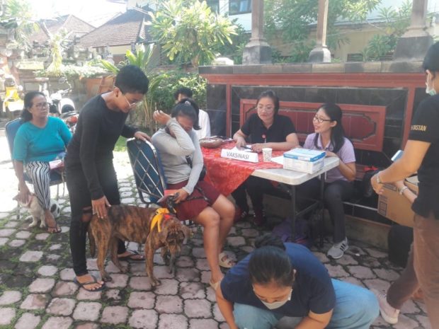 Pemkot Denpasar Gelar Kastrasi, Sterilisasi Pada Hewan Lokal dan Vaksinasi Gratis