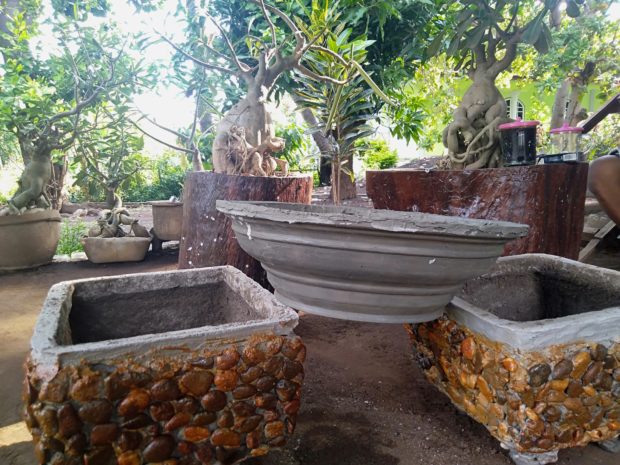 Nikmati Situasi Pandemi Covid Dengan Tenang, Warga Waitiu-Bentala Ini Berkreasi