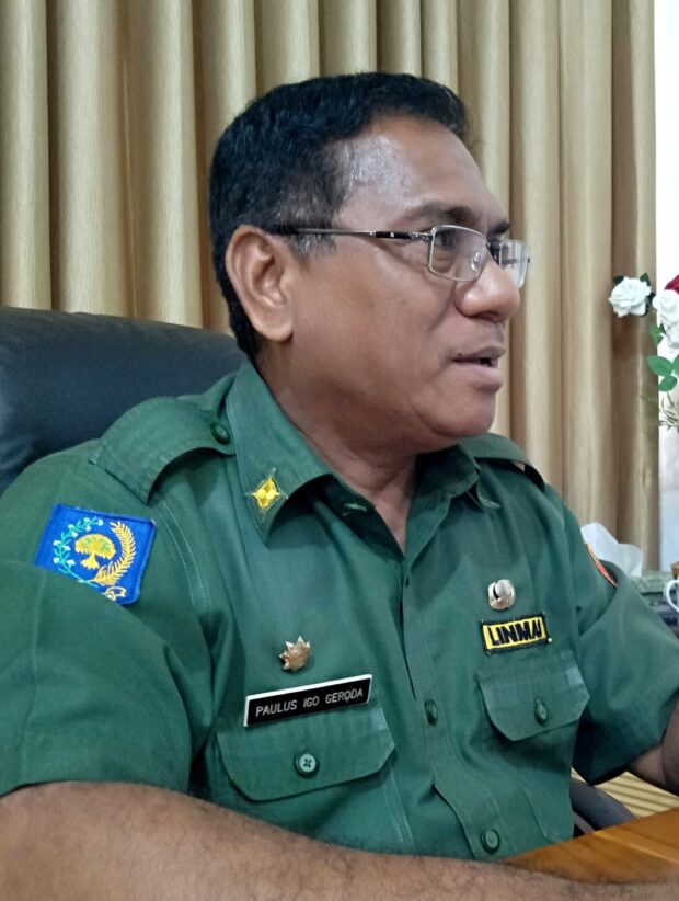 Empat Camat Di Flotim Bayangi Penilaian Terbaik Pansel Jabatan Kadis